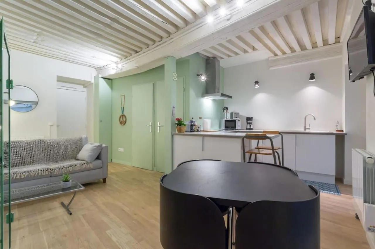 Character Apartment 6 People - City Center Lyon